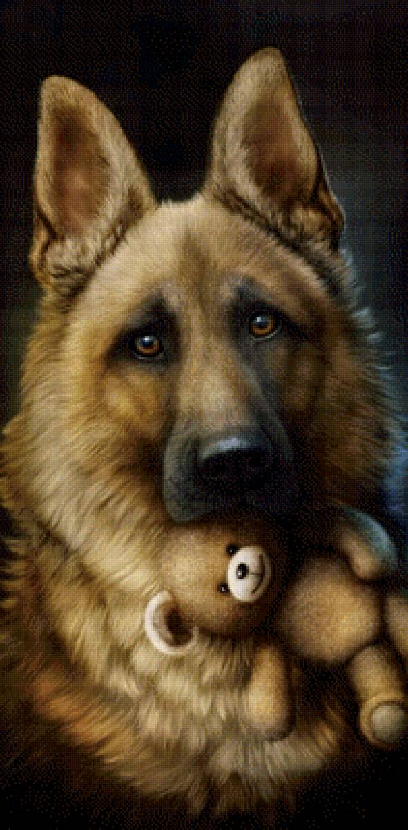 верный друг - пес, животные, собака - предпросмотр