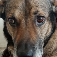 Схема вышивки «Бой»