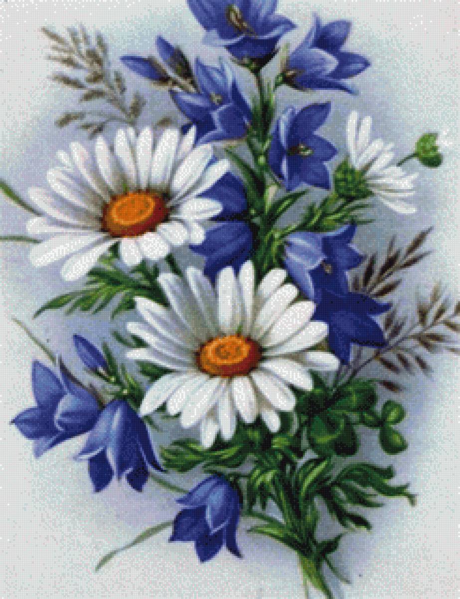 Полевые цветы - полевые цветы, лето - предпросмотр