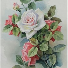 Схема вышивки «Акварельные розы»