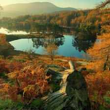 Схема вышивки «№2591155»