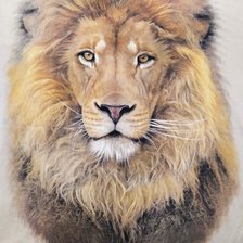 Схема вышивки «Лев»