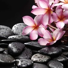 Схема вышивки «Цветы и камни»