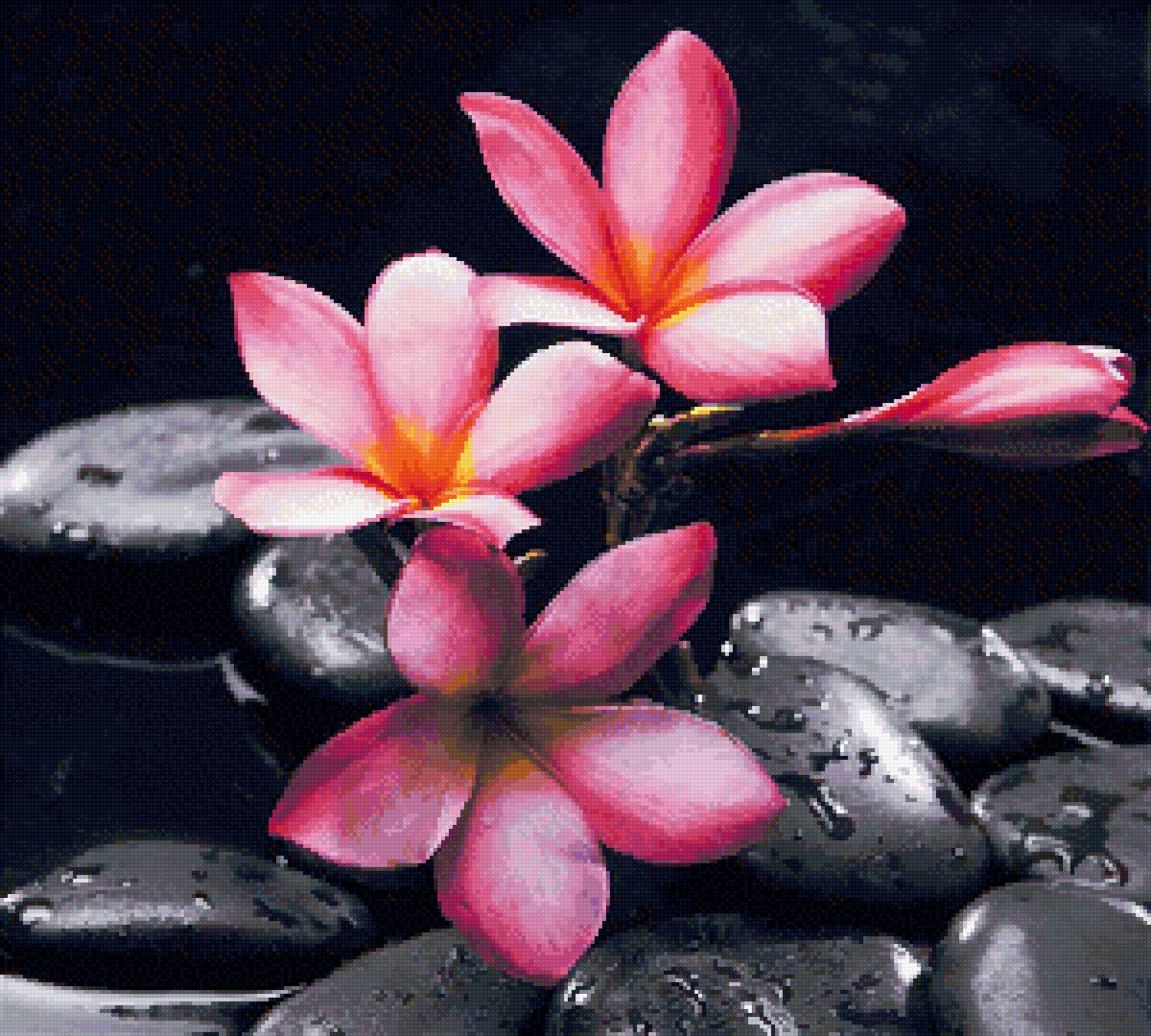 Цветы и камни2 - предпросмотр