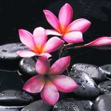 Схема вышивки «Цветы и камни2»