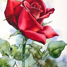 Схема вышивки «Акварельная роза»