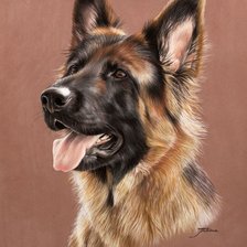 Немецкая овчарка. Живопись. Акварель