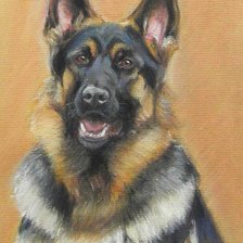 Схема вышивки «Овчарка. Живопись. Пастель. Лому»