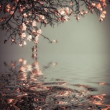 Схема вышивки «№2592032»