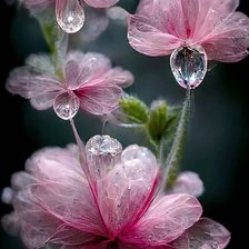 Схема вышивки «№2592059»