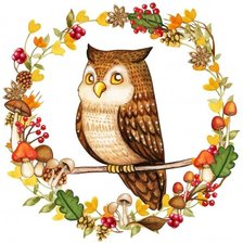 Схема вышивки «Сова»