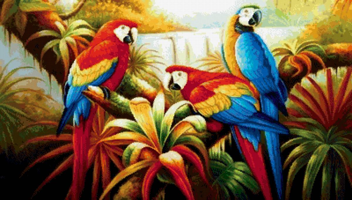 №2592156 - попугаи, птицы - предпросмотр