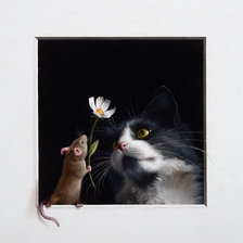 Схема вышивки «№2592316»