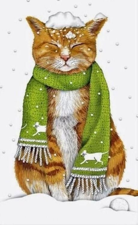 Котик и снежок - новый год, снег, зима, кот - оригинал