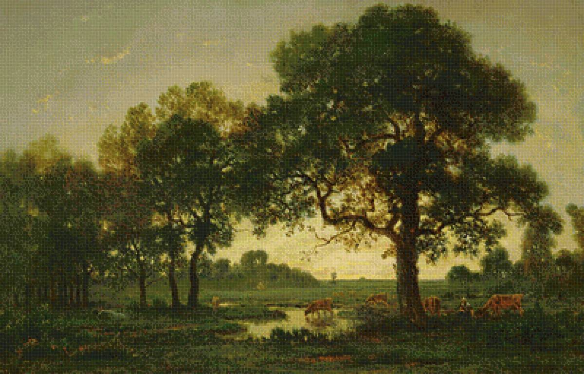 Дубы - предпросмотр