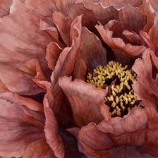 Схема вышивки «мак»