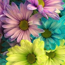 Схема вышивки «№2593415»