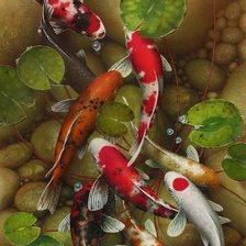 Схема вышивки «№2593717»