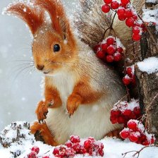 Схема вышивки «№2593739»