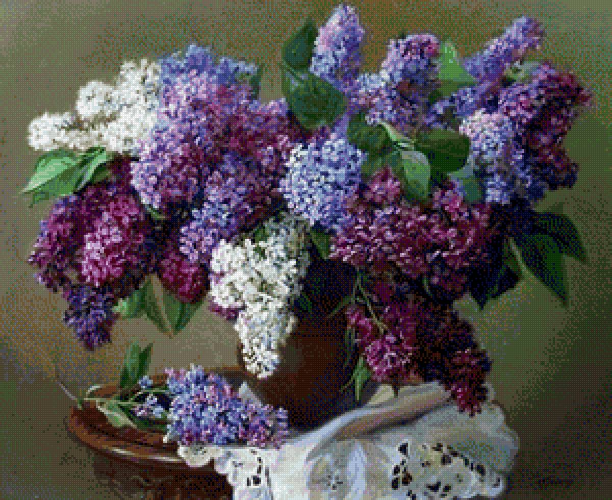 Liliac - flori - предпросмотр