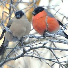 Схема вышивки «№2594229»