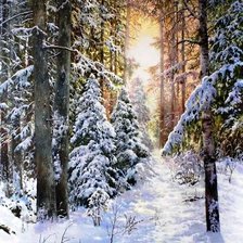 Схема вышивки «Зима»