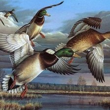 Схема вышивки «птицы»