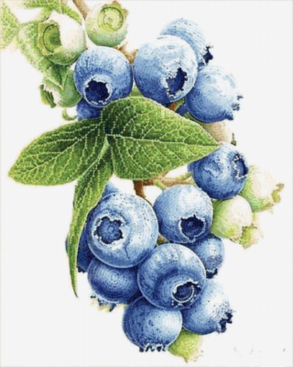 №2595096 - предпросмотр