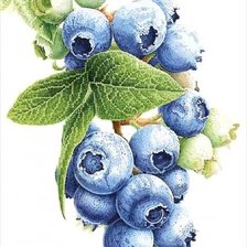 Схема вышивки «№2595096»