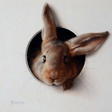 Схема вышивки «Заяц2023»