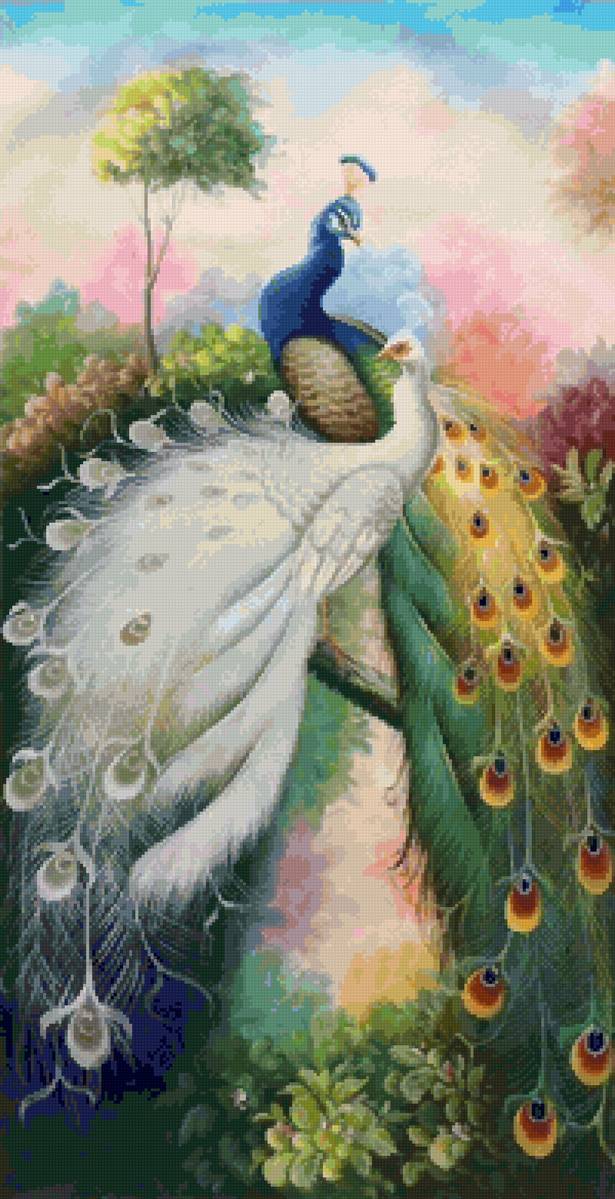 Пара - птицы - предпросмотр