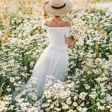 Схема вышивки «Ромашковое поле»