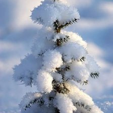 Схема вышивки «Украшена Морозом»