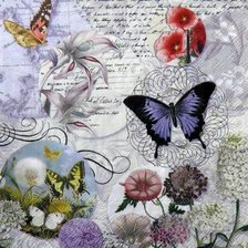 Схема вышивки «Бабочки»