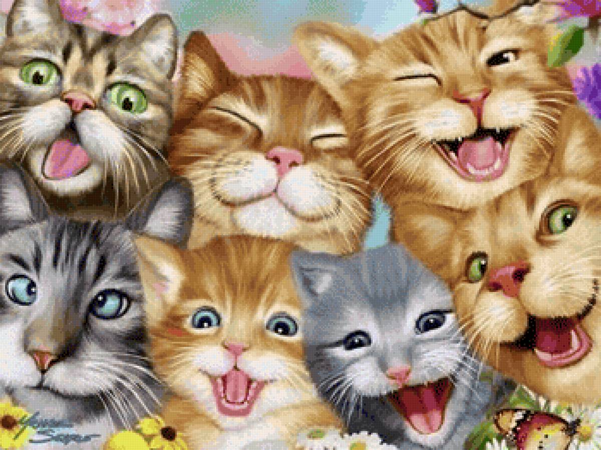 Урок пения - кот - предпросмотр