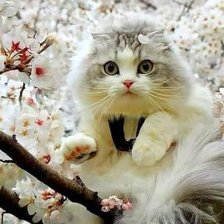 Схема вышивки «№2596264»