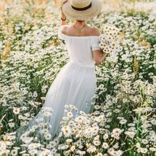 Схема вышивки «Ромашковое поле»