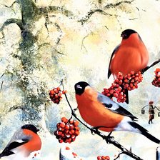 ЗИМА.СНЕГИРИ.