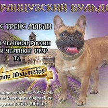 Схема вышивки «№2596446»