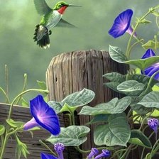 Схема вышивки «№2596672»