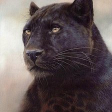 Схема вышивки «№2596735»