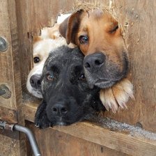 Схема вышивки «№2596762»