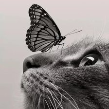 Схема вышивки «№2596772»