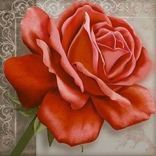 Схема вышивки «Роза»