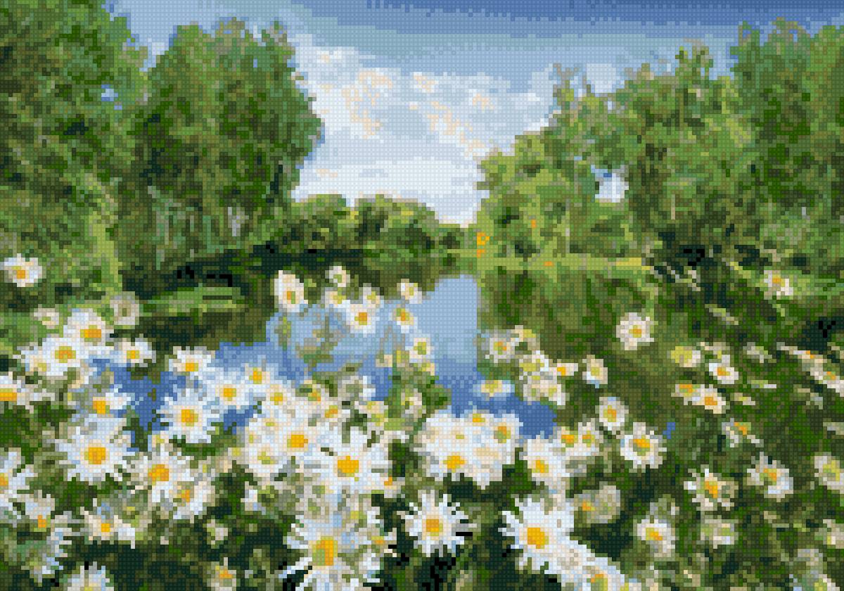 ромашковое поле - предпросмотр