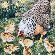 Схема вышивки «№2597159»