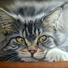 Схема вышивки «Мордашка»