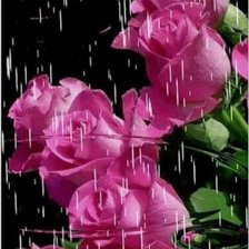 Схема вышивки «Роза»