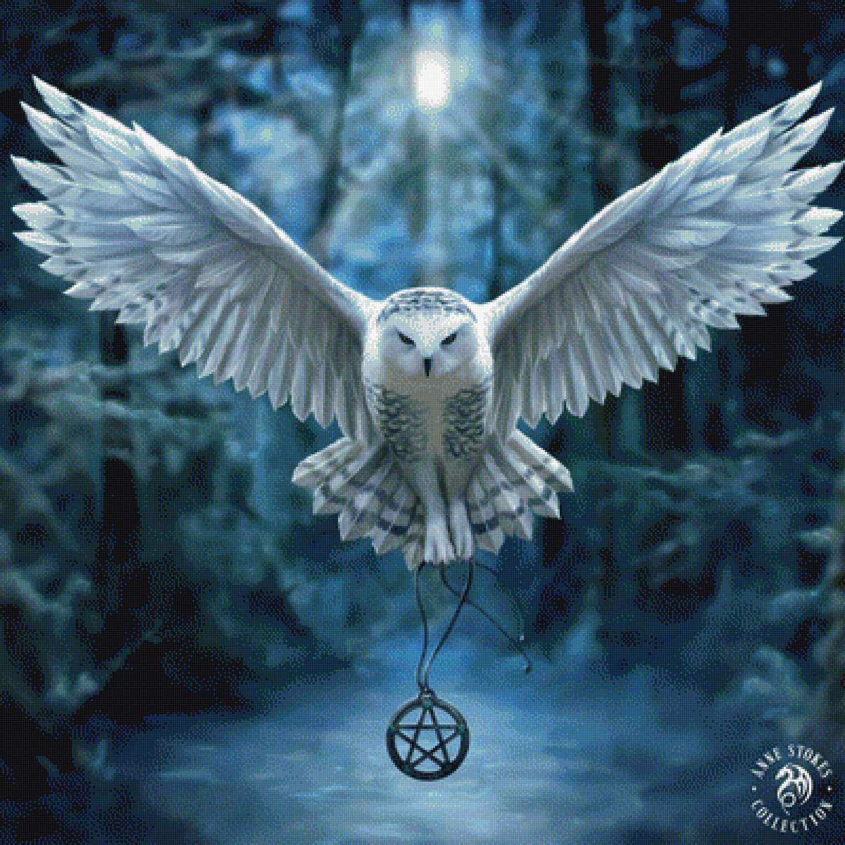 Магия. Сова - сова, птицы - предпросмотр