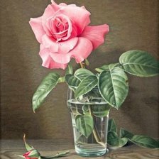 Роза в вазе